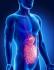 IGR Plus : It Helps To Cure Gut Problems