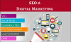 Best Digital Marketing Company in New Delhi