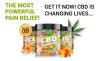Smilz CBD Gummies Evaluation â€“ Broad Spectrum Pure Hemp Method?