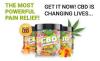 Smilz CBD Gummies Evaluation â€“ Broad Spectrum Pure Hemp Method?