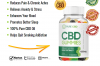 https://www.facebook.com/Antonio-Brown-CBD-Gummies-110426264886339