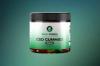 Green Dolphin CBD Gummies:-Is It Worth To Buy?